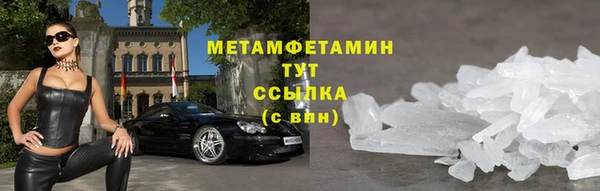 прущие грибы Беломорск