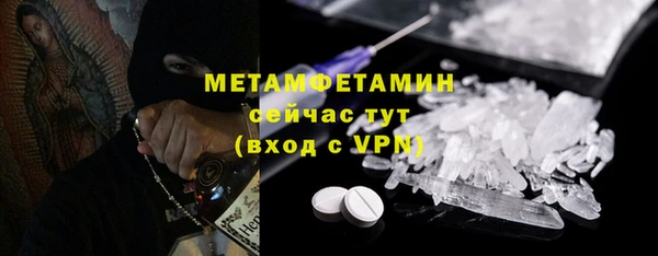 прущие грибы Беломорск