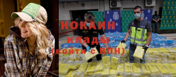прущие грибы Беломорск