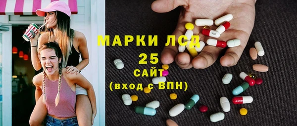 прущие грибы Беломорск