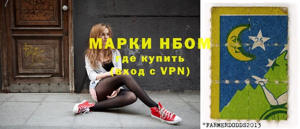 прущие грибы Беломорск