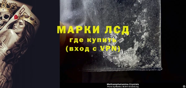 прущие грибы Беломорск